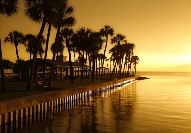 safety and amenities