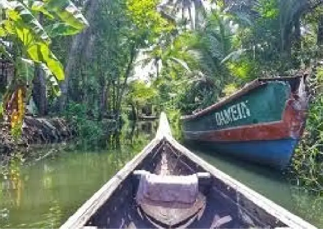  highlights of an alleppey canoe tour