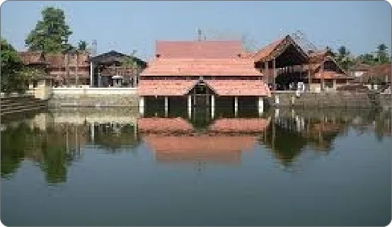 Srikrishna Swami Temple