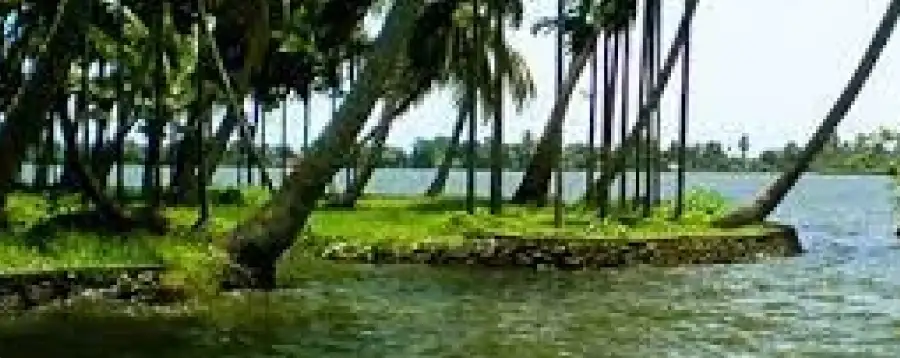 Pathiramanal Island