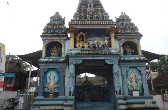 Sri Krishna Swami Temple