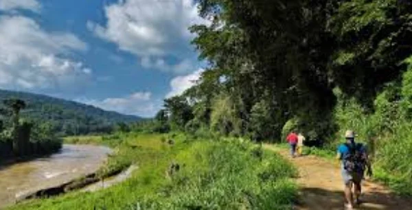 Village Walks & Paddy Trails