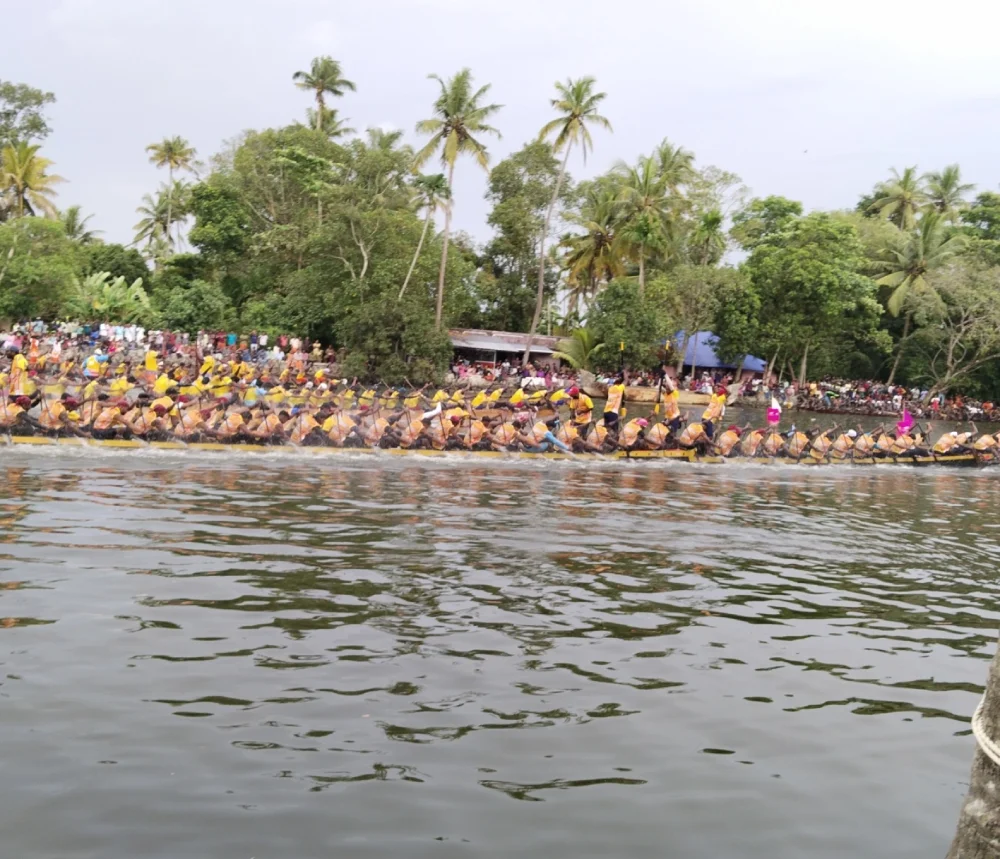 Why Attend a Kerala Boat Race in 2025