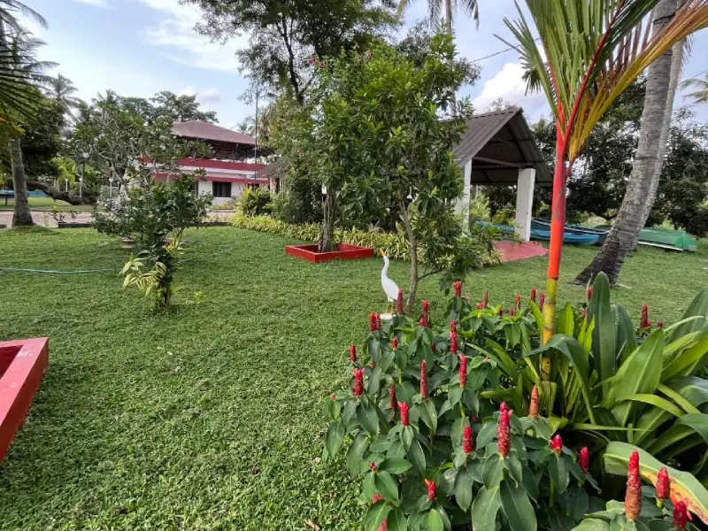 Book Your Backwater Escape Today