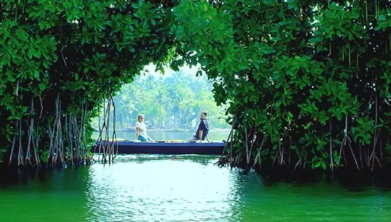 Top Experiences in Munroe Island