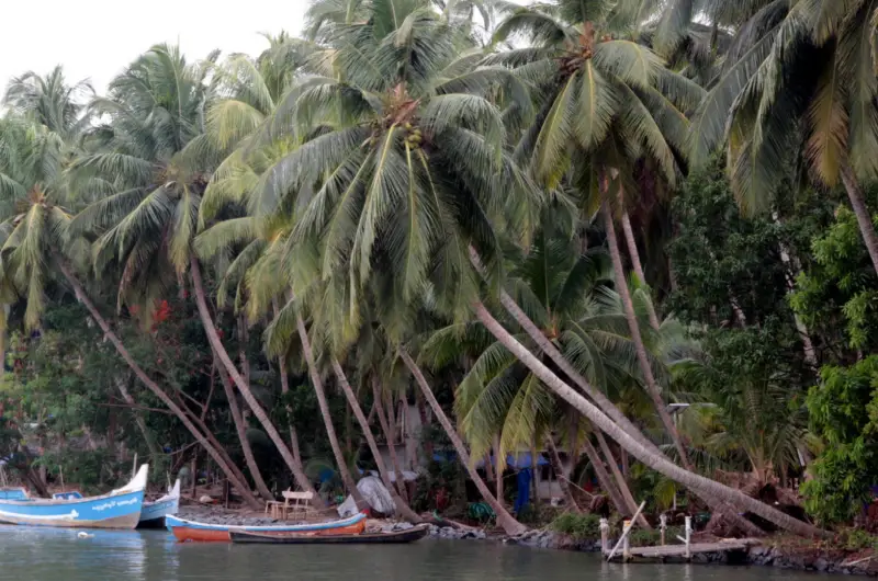 Top Attractions Along the Tejaswini River