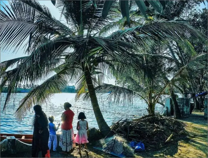 What to Expect on our Mangrove Boating Adventure