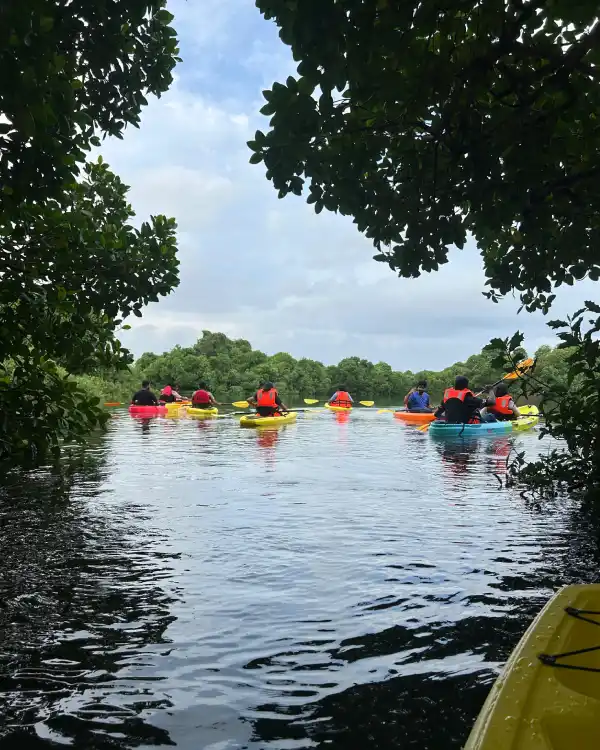 Kayaking Kochi