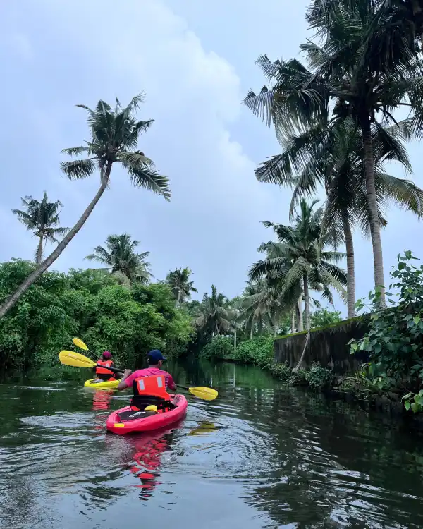Kayaking Kochi