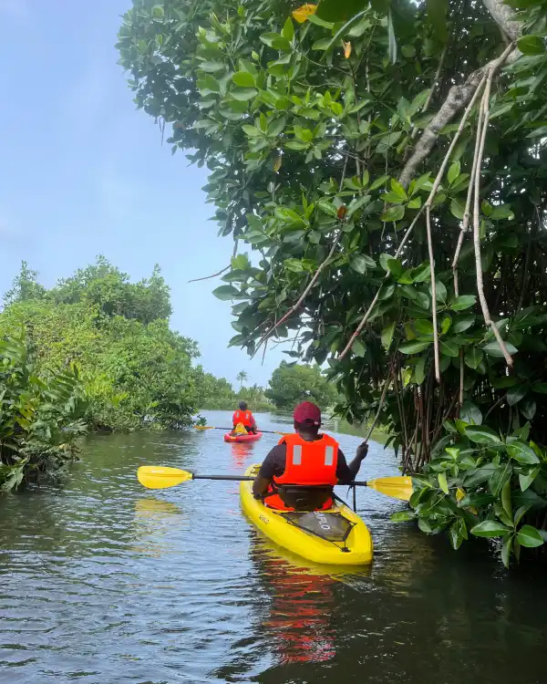 Kayaking Kochi