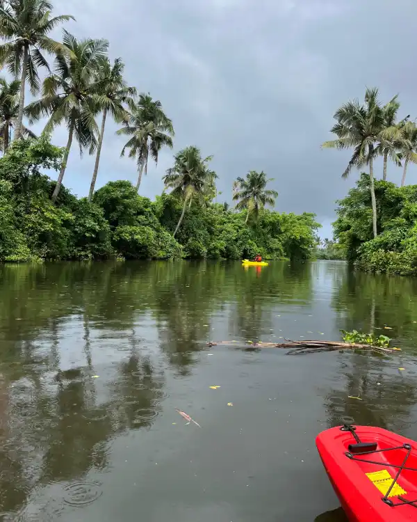 Kayaking Kochi