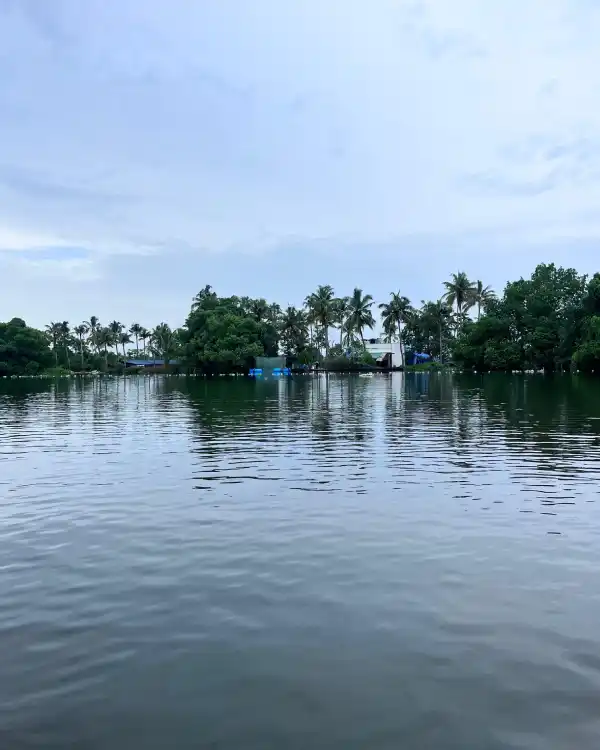 Kayaking Kochi