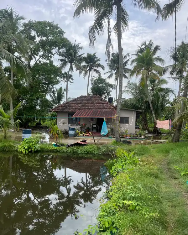 Kayaking Kochi