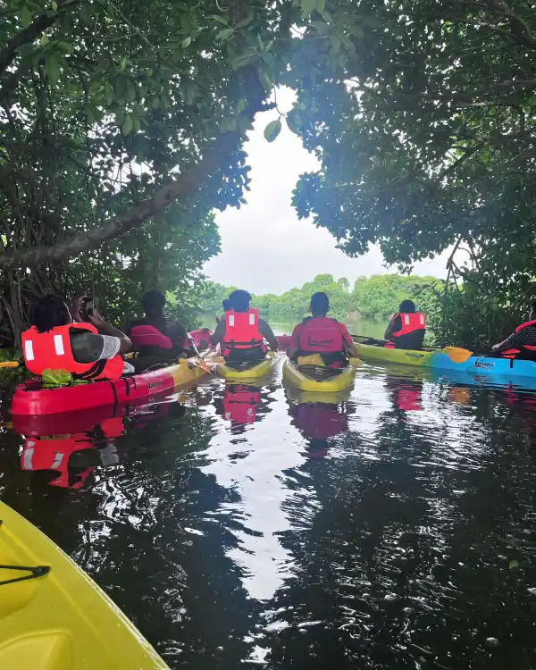 Kayaking Kochi