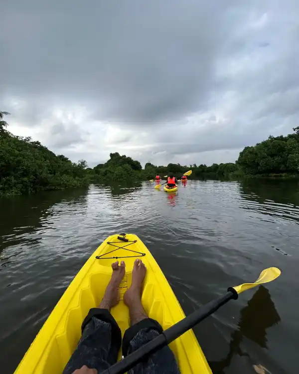 Kayaking Kochi