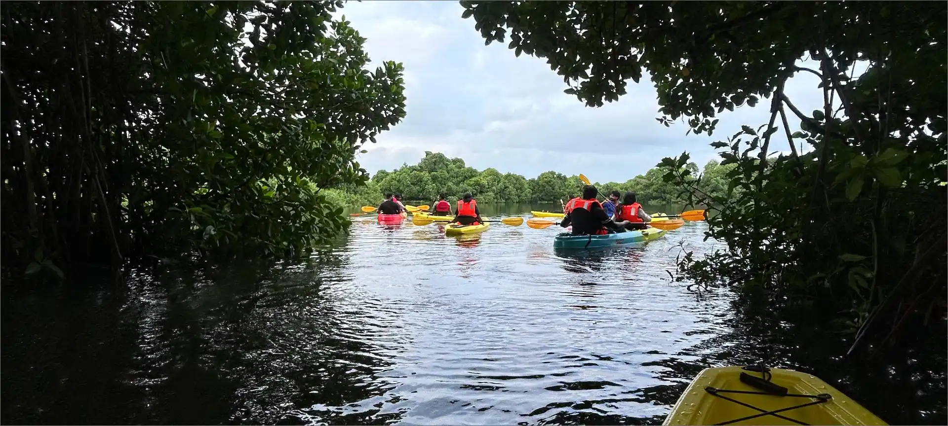 Why Kayaking Kochi