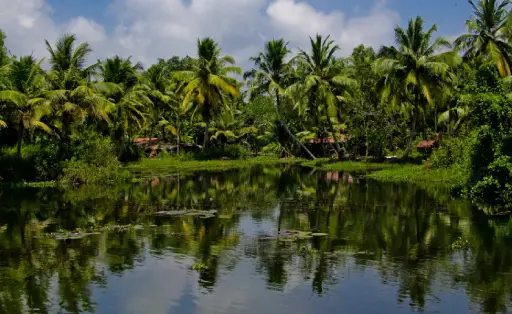  Book your Alleppey houseboat package from Ahmedabad