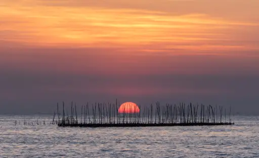 WELCOME TO VENEZIA KERALA HOUSEBOAT YOUR GATEWAY TO TRANQUILITY